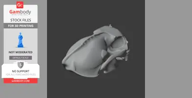 3D model of a sea otter skull replica for printing, shown on a dark background.