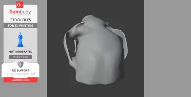 3D model of an otter shrew skull, viewed from the top, for 3D printing.