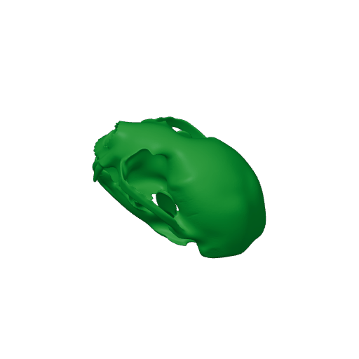 Otter Shrew Skull.3mf