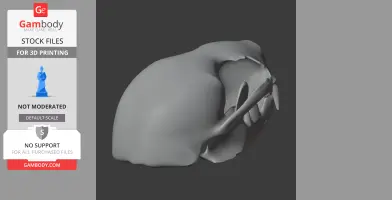 3D model of an otter shrew skull, smooth gray surface, side view, ready for 3D printing.
