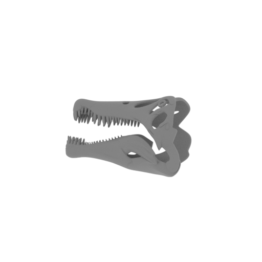 Oxalaia Skull.stl
