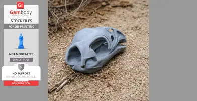 Pachyornis elephantopus Skull - Skull Replica STL