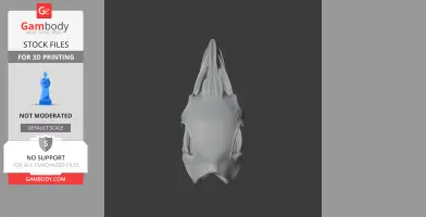 Pachyornis elephantopus Skull - Skull Replica STL