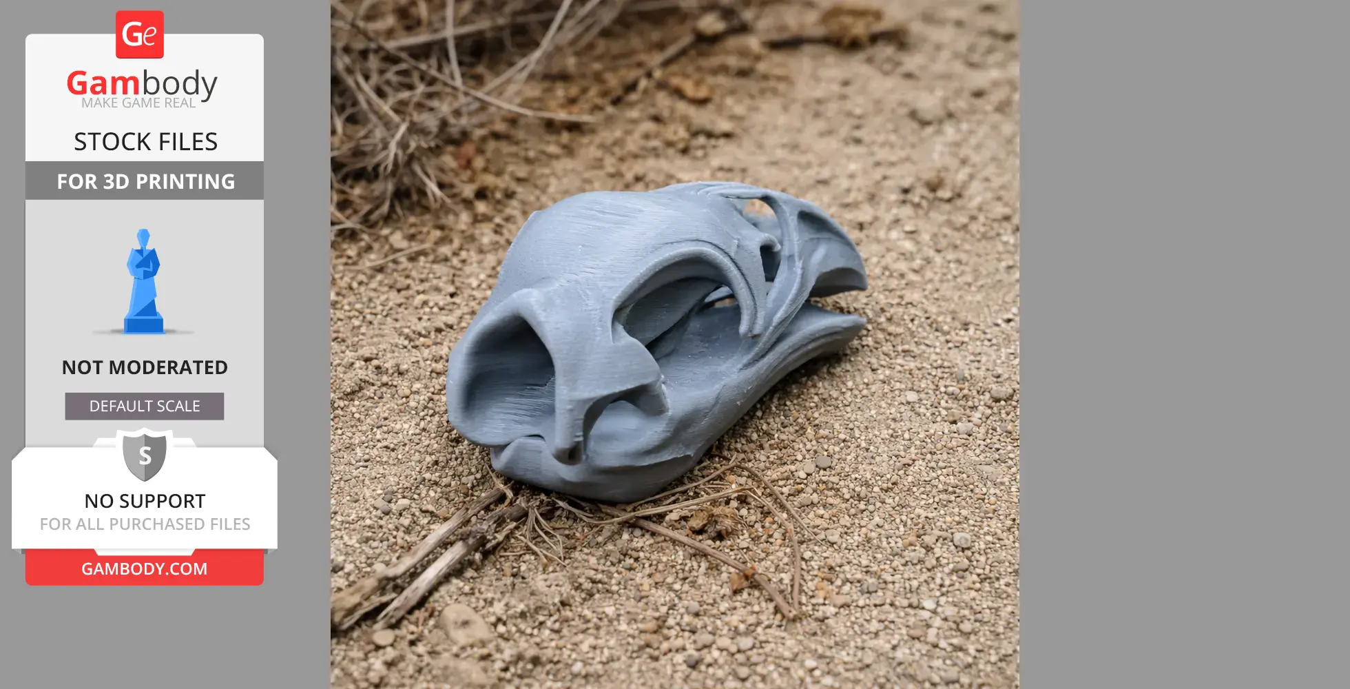 Pachyornis elephantopus Skull - Skull Replica STL