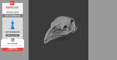 Pachyornis elephantopus Skull - Skull Replica STL