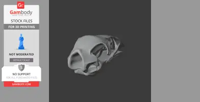 Pachyornis elephantopus Skull - Skull Replica STL