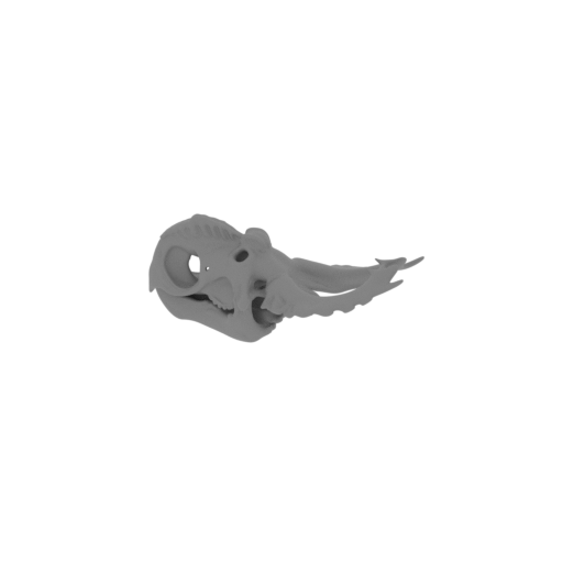 Pachyrhinosaurus Skull.stl
