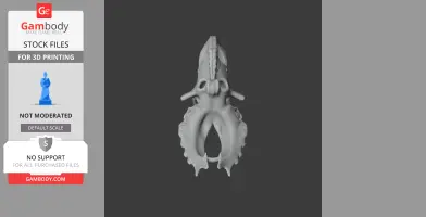 Pachyrhinosaurus Skull - Skull Replica STL