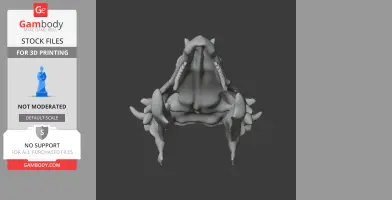 3D model of a Pachysaurus skull, viewed from above, showing teeth and bony structures for printing.
