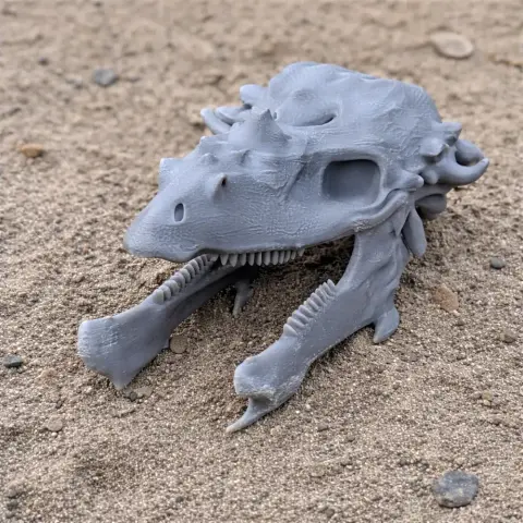 Detailed 3D-printed Pachysaurus skull replica resting on sandy ground.