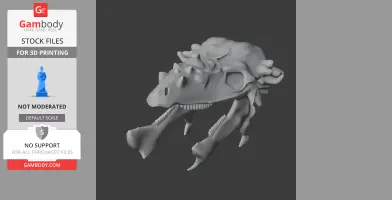 3D model of a Pachysaurus skull replica, featuring detailed textures and prominent teeth.