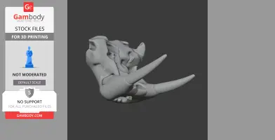 3D model of a Pacific Walrus skull with detailed tusks, designed for 3D printing.
