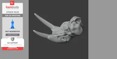 3D model of a Pacific walrus skull with prominent tusks, designed for 3D printing.