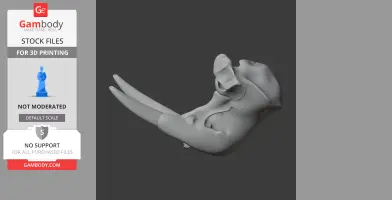 3D model of a Pacific walrus skull replica with prominent tusks.