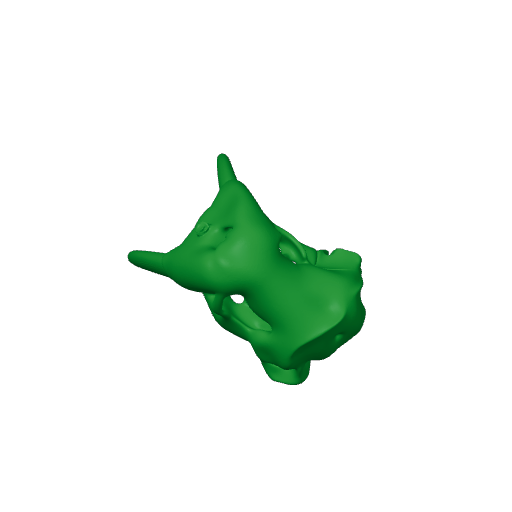 Pacific Walrus Skull.3mf