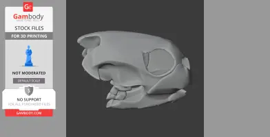 Painted Turtle Skull - Skull Replica STL