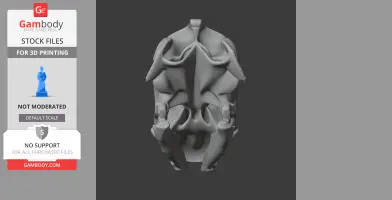 Painted Turtle Skull - Skull Replica STL