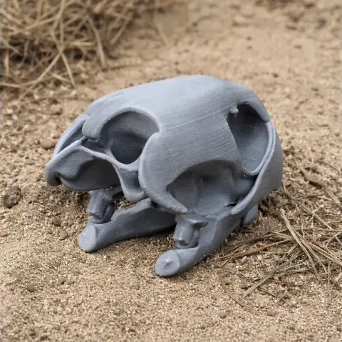3D-printed gray painted turtle skull replica on sandy ground.