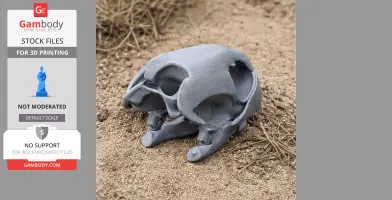 Painted Turtle Skull - Skull Replica STL
