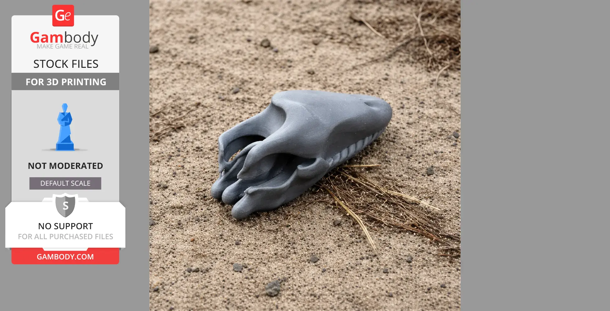 3D printed Pakicetus attocki skull replica resting on sandy ground.