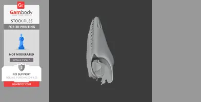 3D model of a Pakicetus attocki skull side view, for 3D printing, on a dark background.