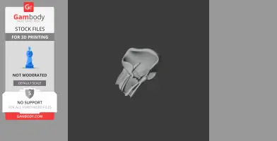 3D model of a Pakicetus attocki skull, showcasing detailed bone structure for printing.