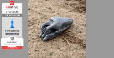 3D printed Pakicetus attocki skull replica resting on sandy ground.
