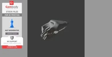 3D model of a Pakicetus attocki skull replica, suitable for 3D printing.