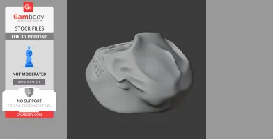 Palaeoctonus Skull - Skull Replica STL