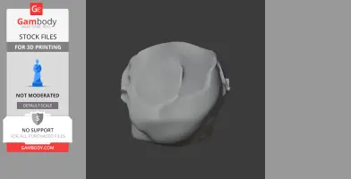 Palaeoctonus Skull - Skull Replica STL