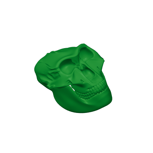 Palaeoctonus Skull.3mf