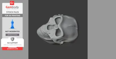 Palaeoctonus Skull - Skull Replica STL
