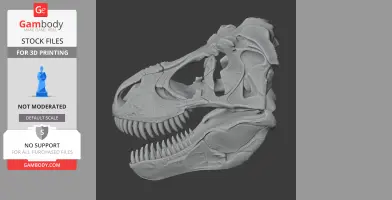Palaeoreas Skull - Skull Replica STL