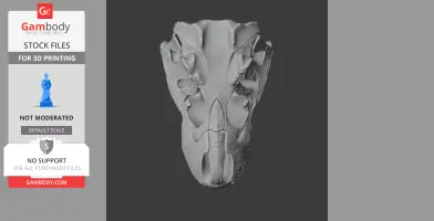 Palaeoreas Skull - Skull Replica STL