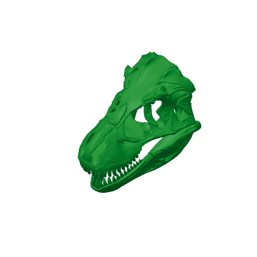 Palaeoreas Skull.3mf