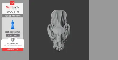 Palaeoscincus Skull - Skull Replica STL