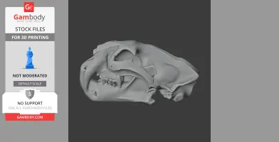 Palaeoscincus Skull - Skull Replica STL