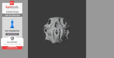 Palaeoscincus Skull - Skull Replica STL
