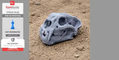 Palaeoscincus Skull - Skull Replica STL