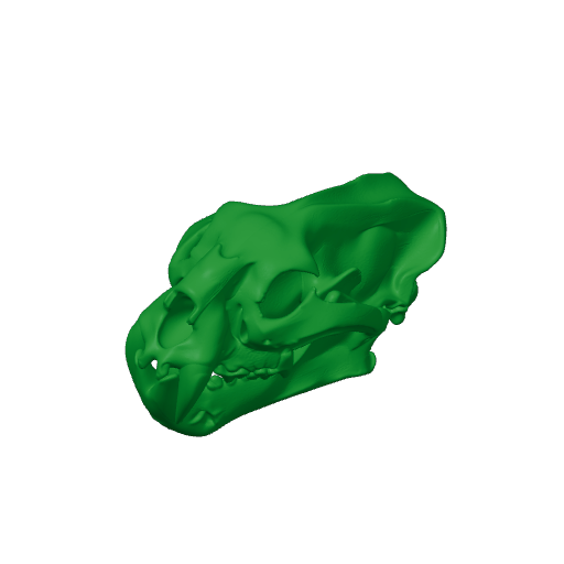 Palaeoscincus Skull.3mf