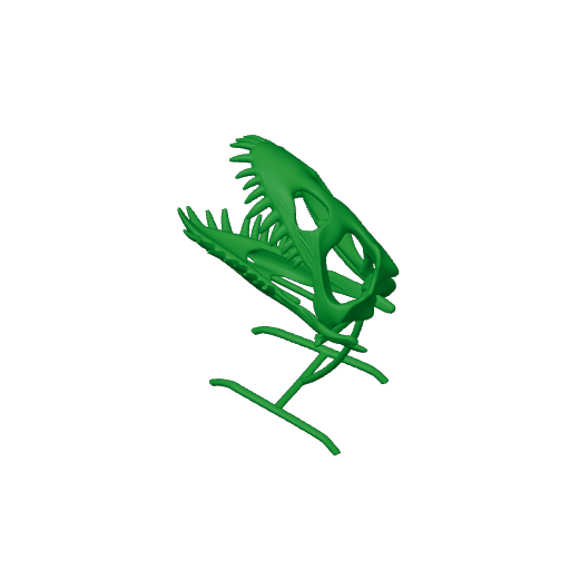 Paleosaurus Skull.3mf