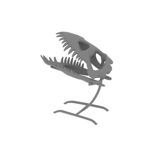 Paleosaurus Skull.stl