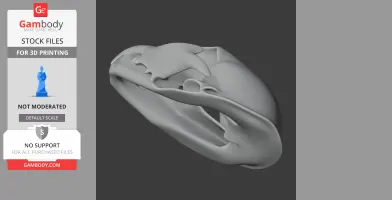 3D model of a Pallas's cat skull, designed for printing, showcasing detailed anatomy and contours.