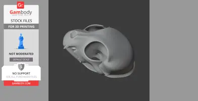 3D model of a Pallas's cat skull, detailed and ready for printing.