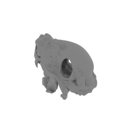 Papiliovenator Skull.stl