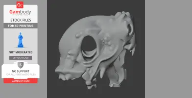 3D model of a Papiliovenator dinosaur skull, featuring detailed bone textures and large eye socket.