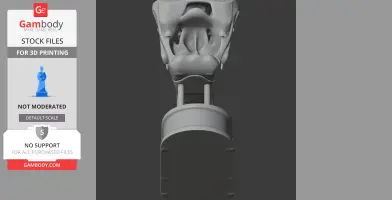 A 3D printed Paraiguanodon skull model, viewed from the bottom, with a mounting base.