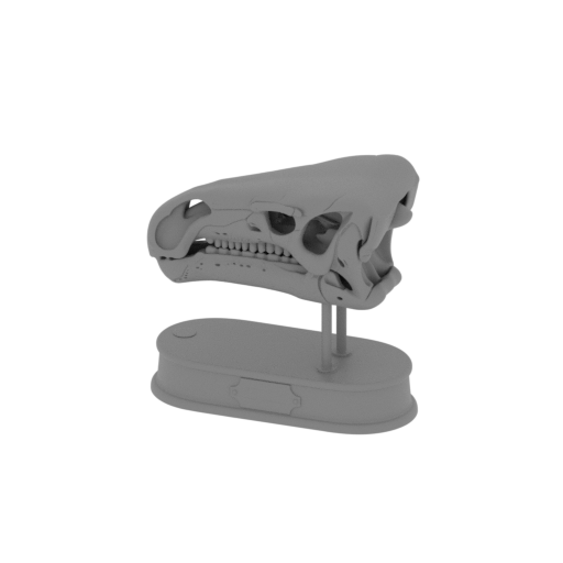 Paraiguanodon Skull.stl