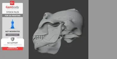 Paranthropus boisei Skull - Skull Replica STL