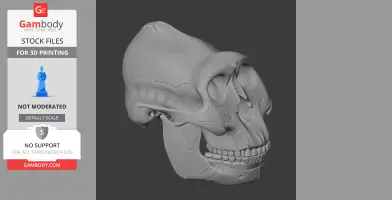Paranthropus boisei Skull - Skull Replica STL